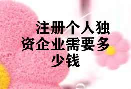 注册个人独资企业需要多少钱 注册个人独资企业需要多少钱